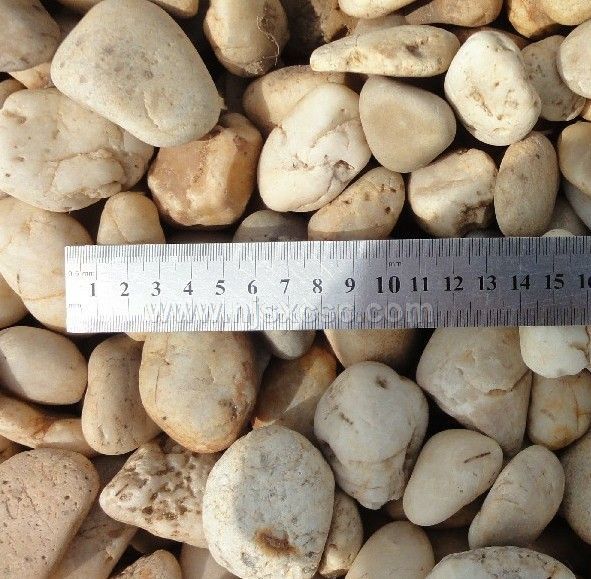 Natural white pebbles