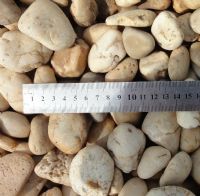 Natural white pebbles