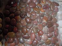 meshwork pebbles (Red)