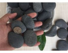 The original stone of garden black pebble is 3-5cm